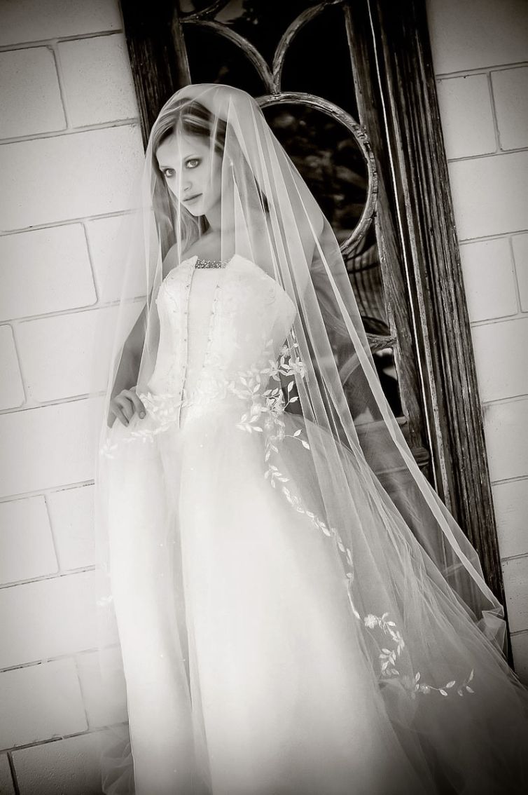 Couture Bridal Fashion - Tampa, St. Petersburg, Sarasota Wedding Photography - Brian K Crain - Florida Wedding Photographer