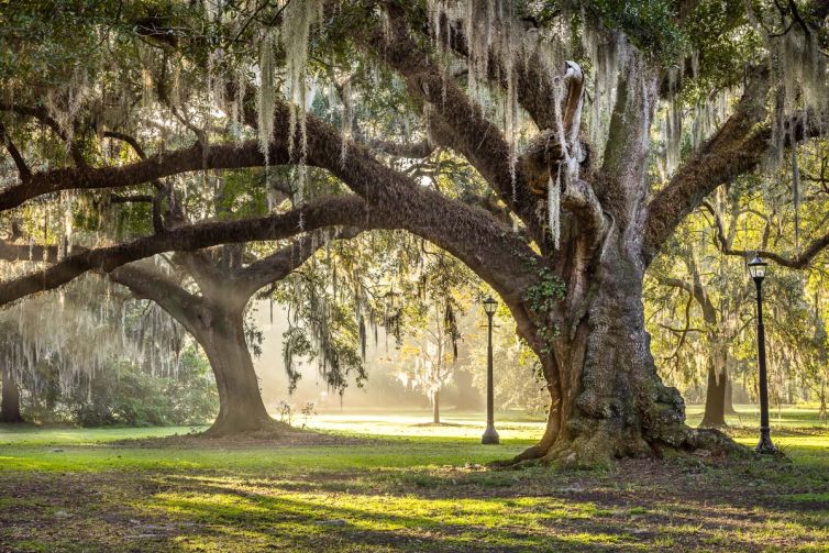 St. Petersburg / Tampa, Florida Photographer - Destination Digital Marketing & Advertising Photography - Brian K Crain - Tampa, St. Petersburg, Sarasota, Florida